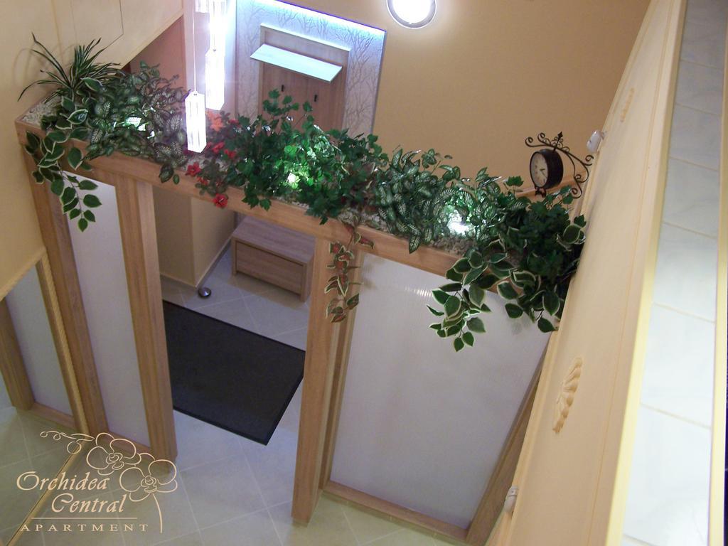 Orchidea Lejlighed *